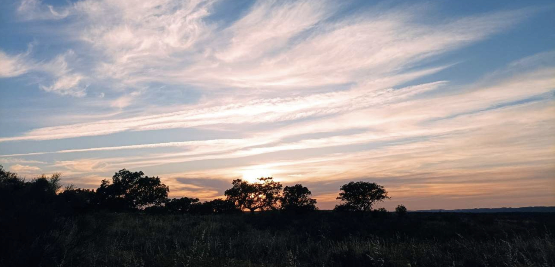 A vida de uma empresária no interior do Baixo-Alentejo