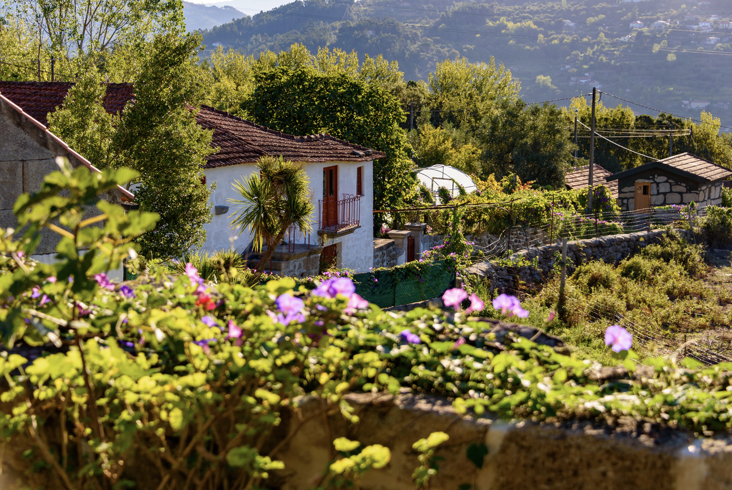 Turismo Rural em Portugal: Atraindo nómadas digitais